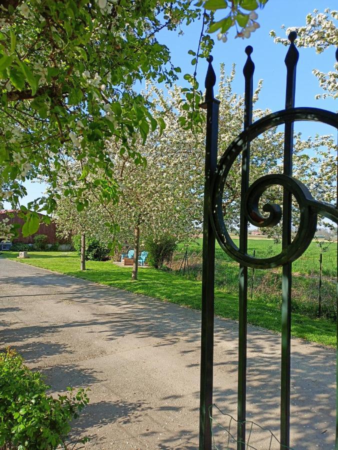Les Chambres D'Hotes Du Vert Galant " L'Allee Des Champs" Verlinghem المظهر الخارجي الصورة